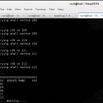 autopwn