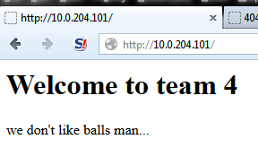 team4_lolzballs